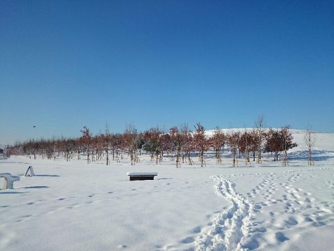 埼玉　大雪　ランクル